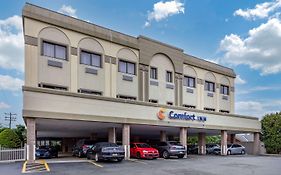 Comfort Inn Syosset-long Island  3*